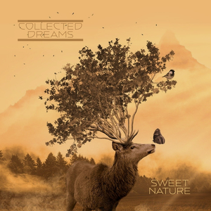 久草视频免费播放
