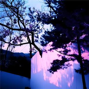 久草视频免费播放
